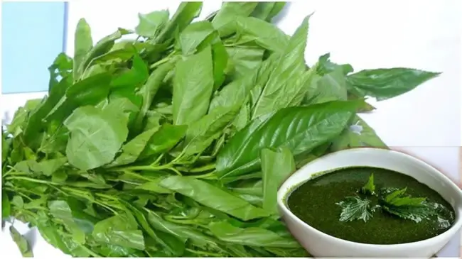 Ewedu Soup: All You Need To Know About Jute Leaf Soup