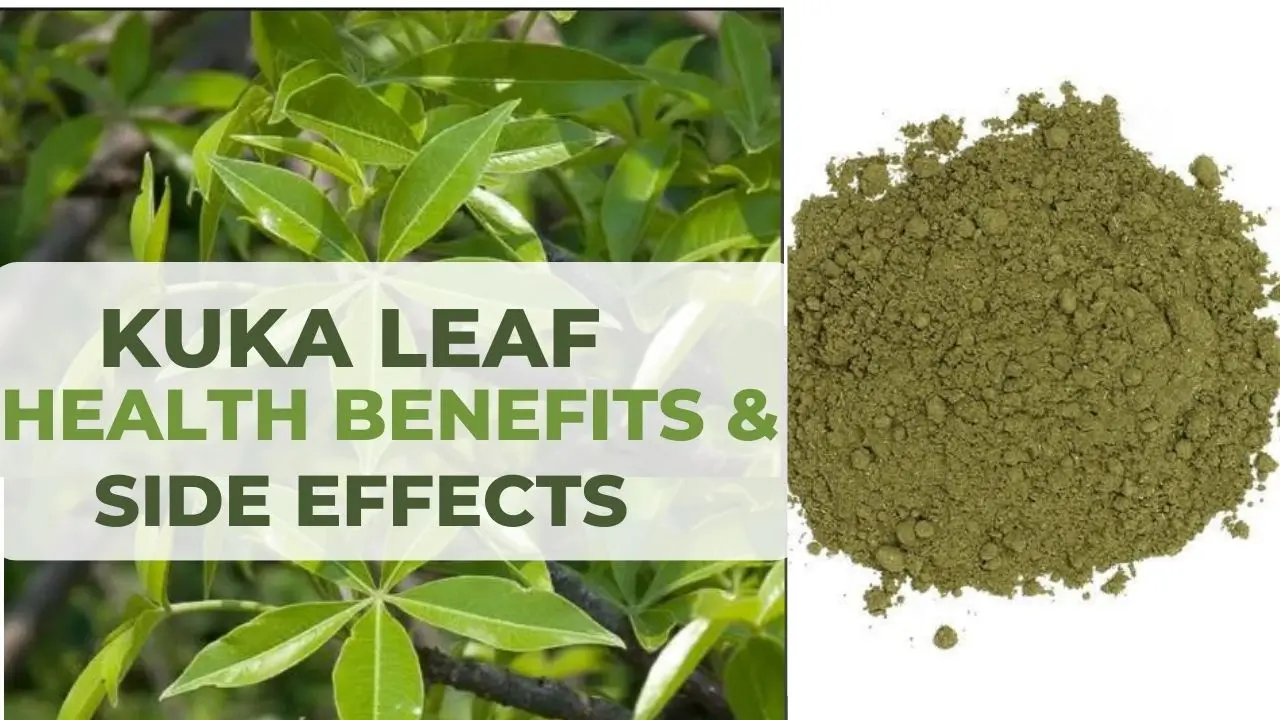 Kuka Leaf: Health Benefits & Side Effects of Baobab Leaves
