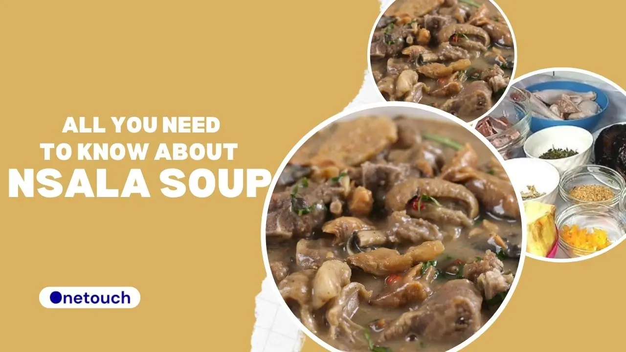 Nsala Soup: All You Need to Know About White Soup