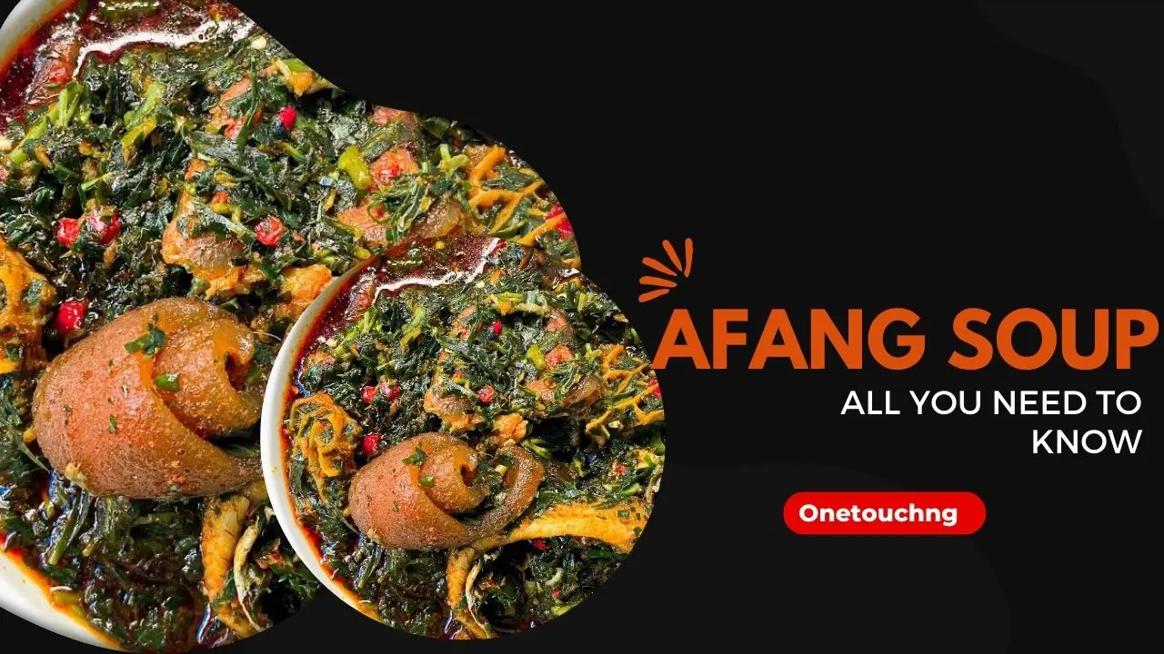 Afang Soup: All You Need to Know About Wild Spinach Soup